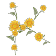 011