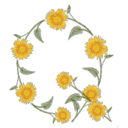 017