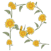 018