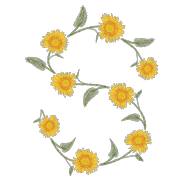 019