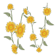 023