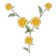 025