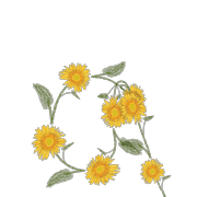 027