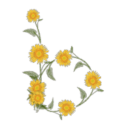 028