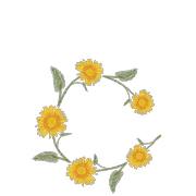 029