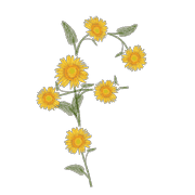032