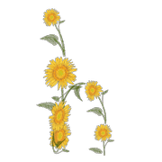 034