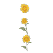 035