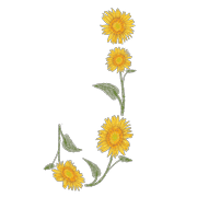 036