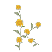 037