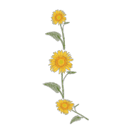 038