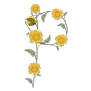 042