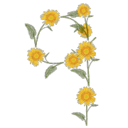 043