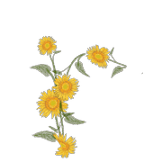 044
