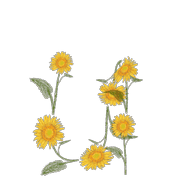 047