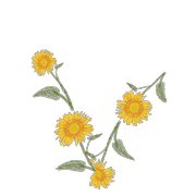 048