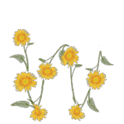 049