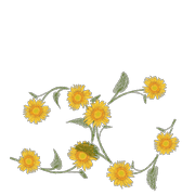 050