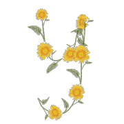 051