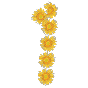 053