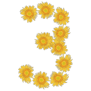 055