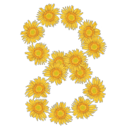 060