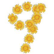 061