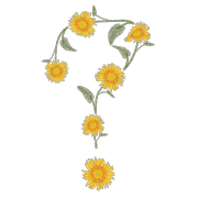 065