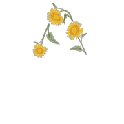 070