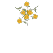072