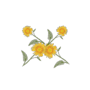 077