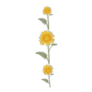 081