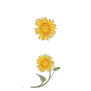 082