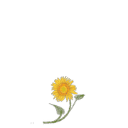 084