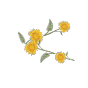 087