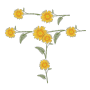 104