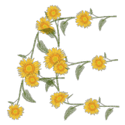 109
