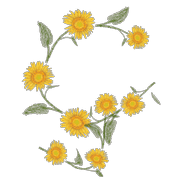 111