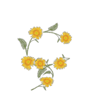 115