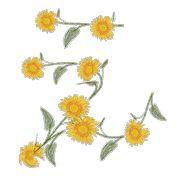 004