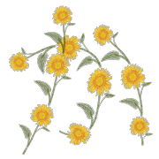 006