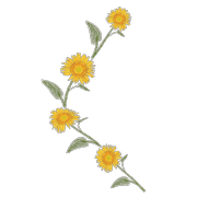 008