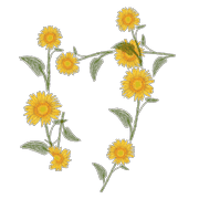 009