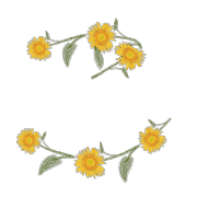 010