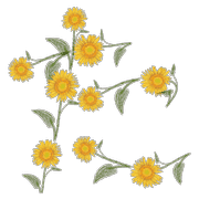 016