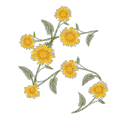 017