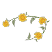 018