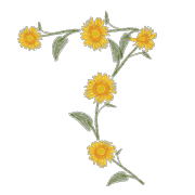 019