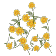 023