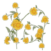 024
